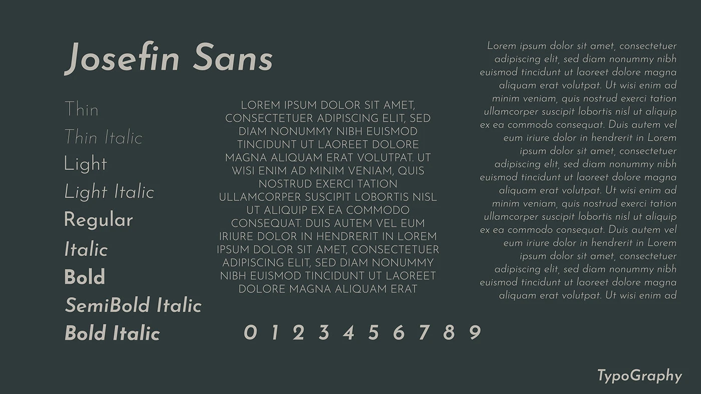 ConnectDent.ai — Josefin Sans typography
